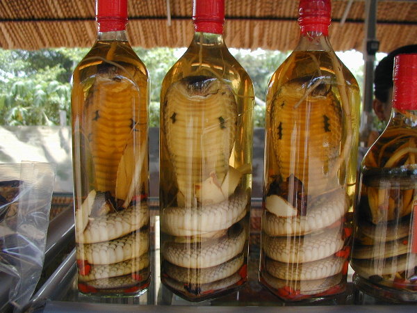 Snake Wine